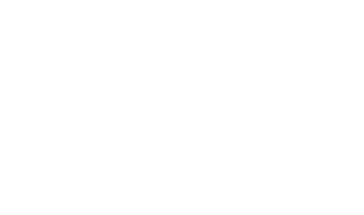Mississippi State University National Strategic Planning & Analysis Research Center Logo